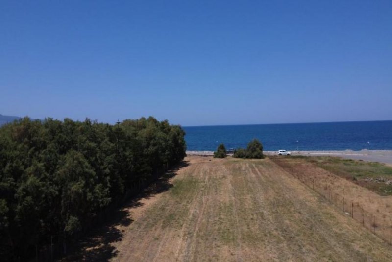 Tavronitis Kreta, Tavronitis: Erstklassiges Strandgrundstück mit malerischem Meerblick zu verkaufen Grundstück kaufen